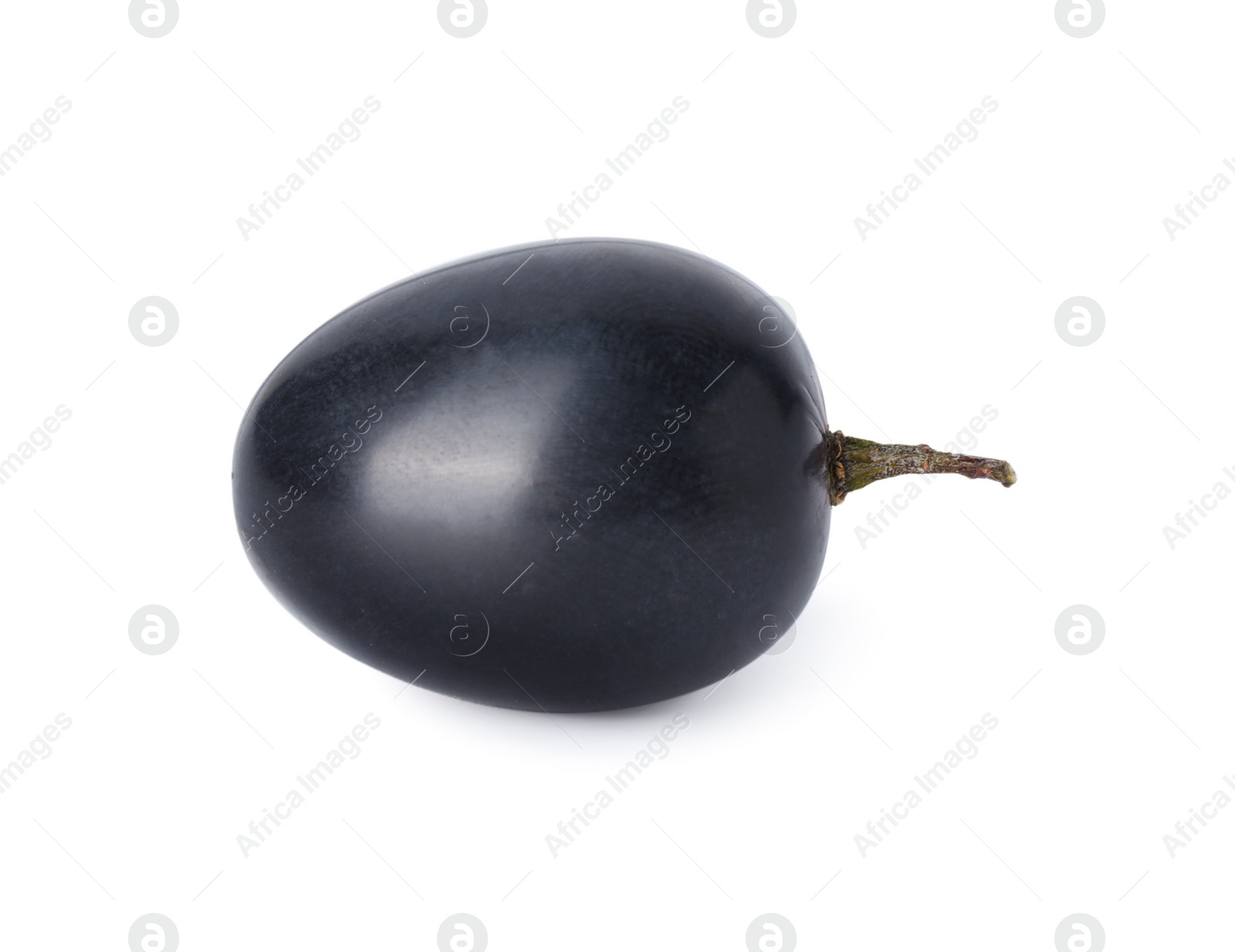 Photo of One ripe dark blue grape isolated on white