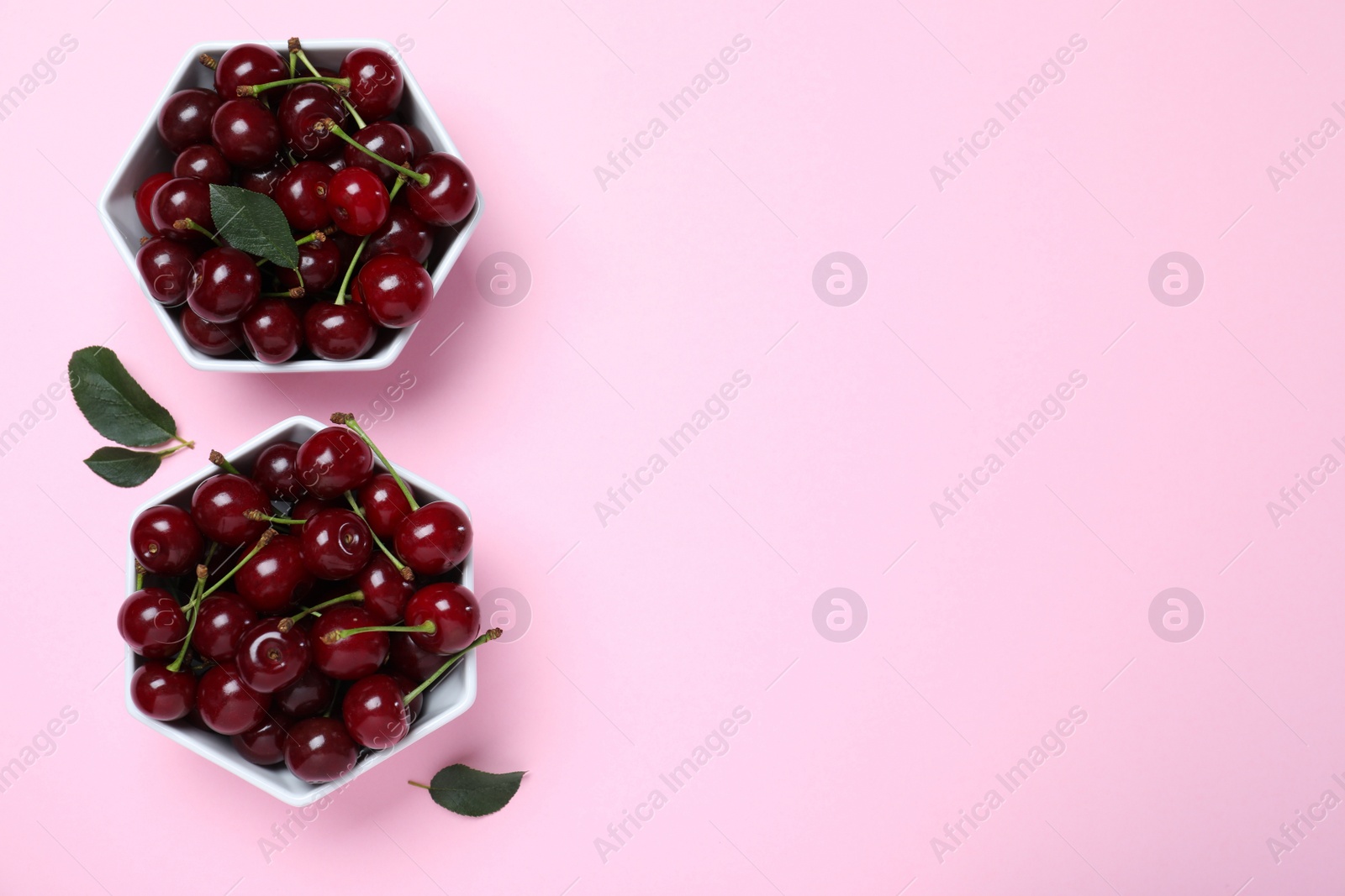 Photo of Sweet juicy cherries on pink background, flat lay. Space for text