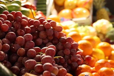 Many different fresh fruits on counter at market, closeup