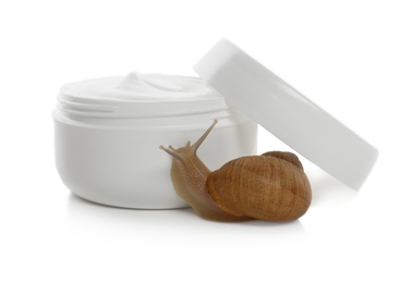 Photo of Snail and jar with cream isolated on white