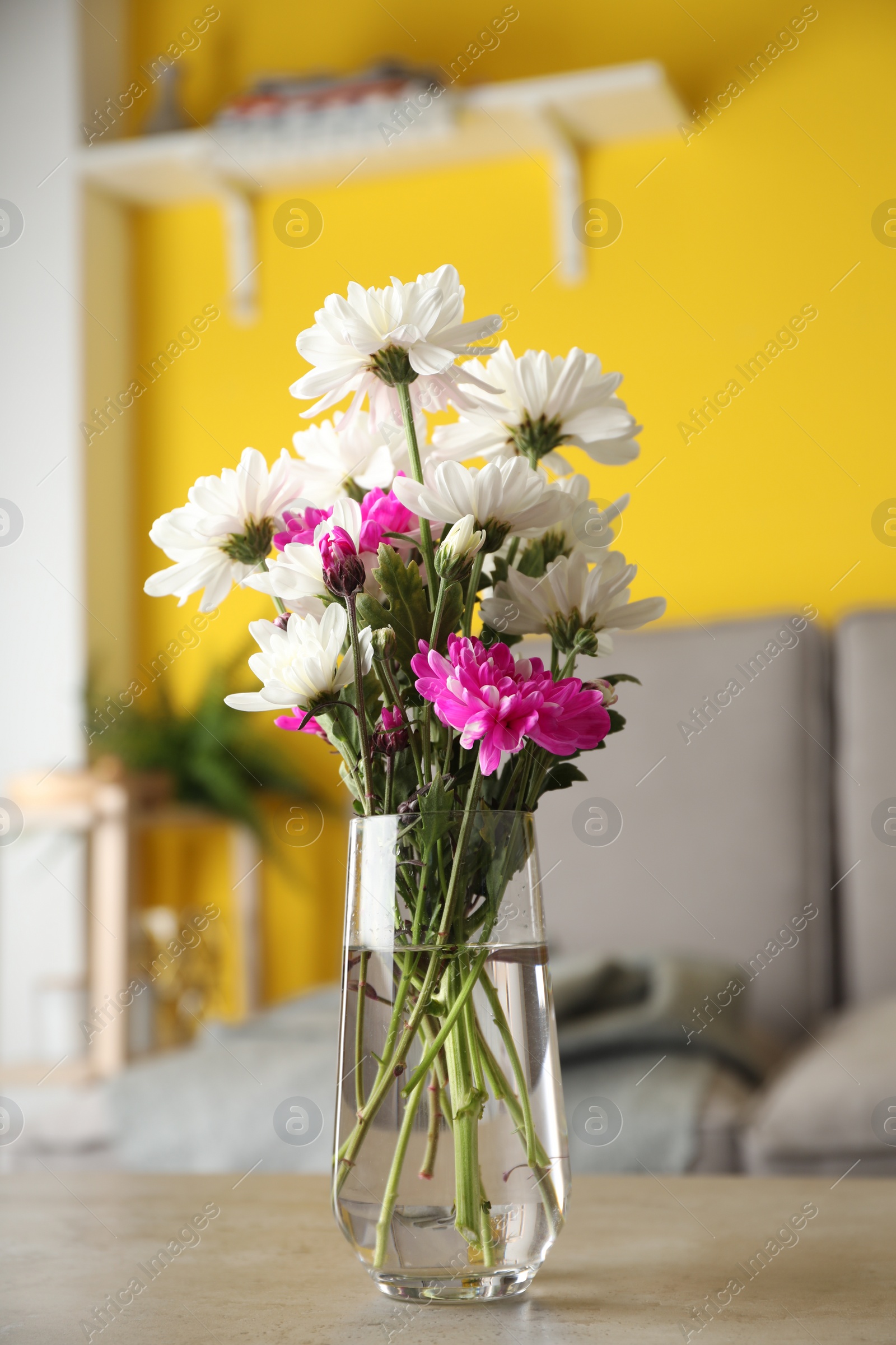 Photo of Beautiful bouquet of Chrysanthemum flowers on grey table indoors. Interior design