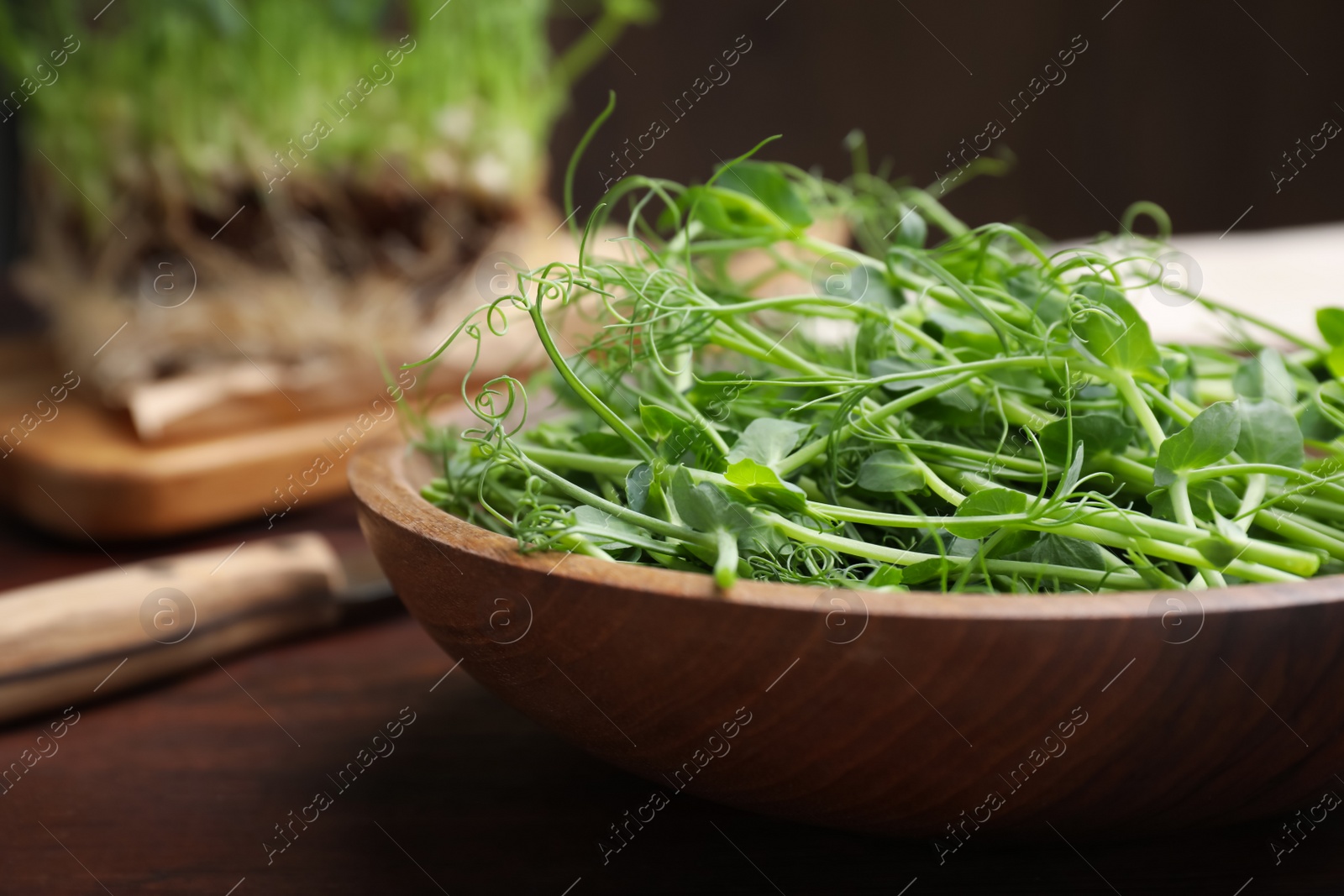 Photo of Plate with fresh microgreen on brown wooden table, closeup