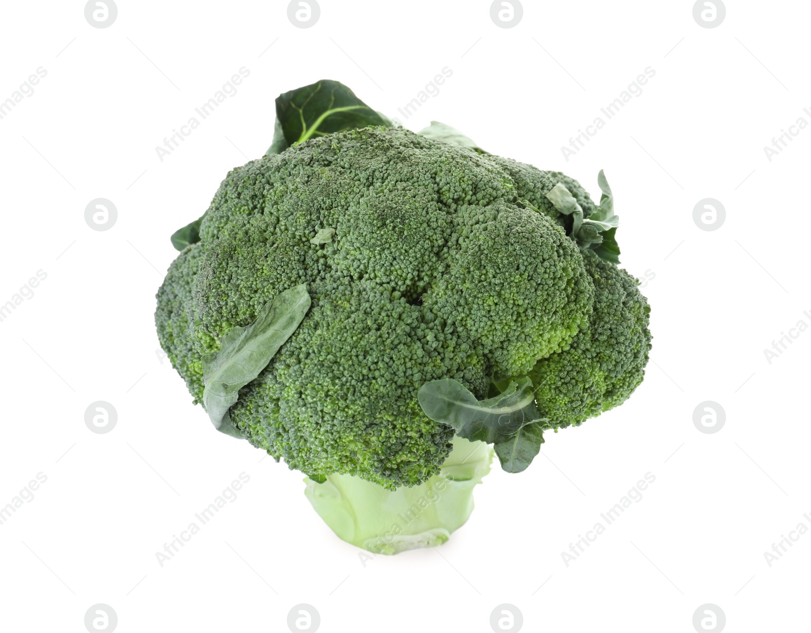 Photo of Fresh green broccoli isolated on white. Organic food