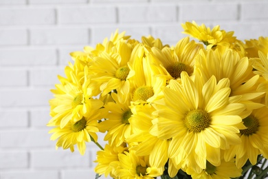 Beautiful chamomile flowers against brick wall, closeup