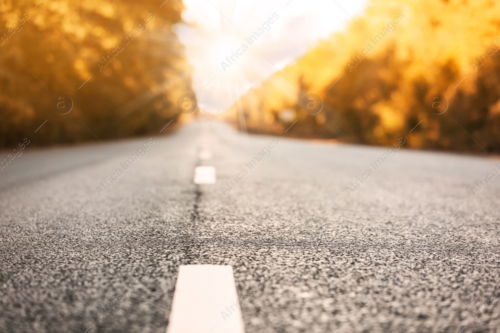 Image of Road trip. Beautiful view of asphalt highway on sunny day, closeup 