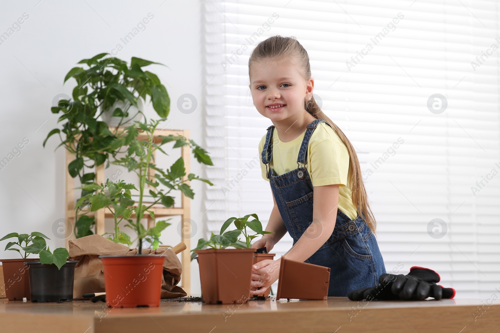 Photo of Cute little girl planting seedling in pot at wooden table in room