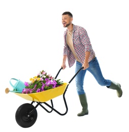 Photo of Male gardener with wheelbarrow and plants on white background