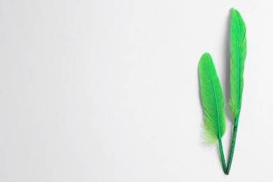 Green feathers on white background, flat lay. Space for text