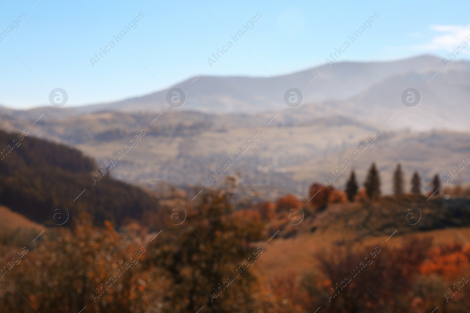 Photo of Picturesque landscape with forest and mountains, blurred view