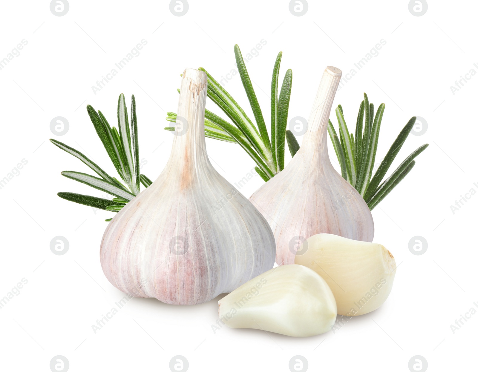 Image of Fresh garlic with rosemary on white background