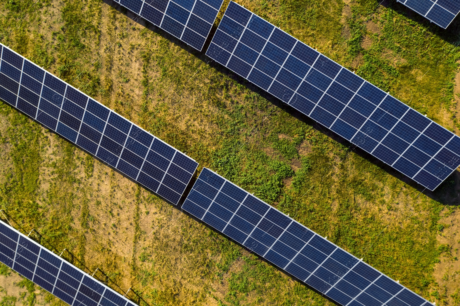 Image of Solar panels installed outdoors, top view. Alternative energy source