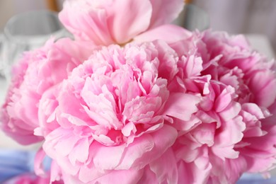 Photo of Beautiful aromatic peonies on blurred background, closeup