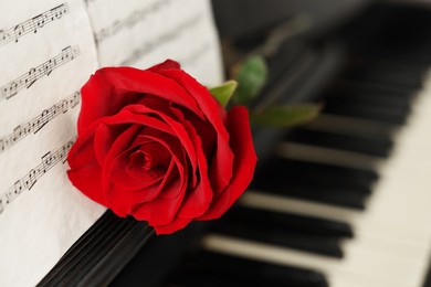 Photo of Beautiful red rose and musical notes on piano, closeup. Space for text
