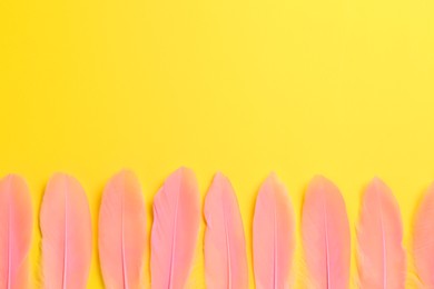 Photo of Beautiful pink feathers on yellow background, flat lay. Space for text