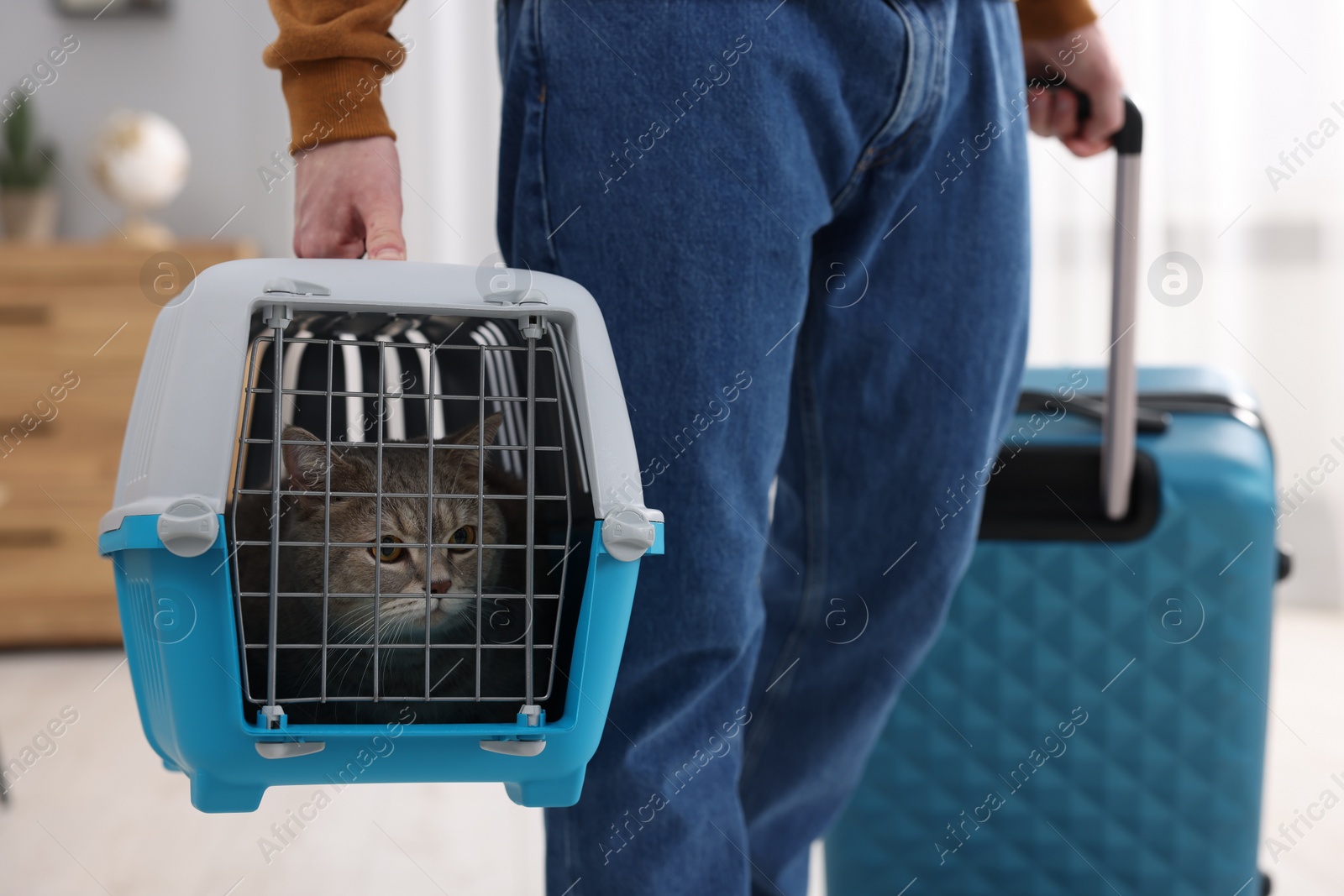 Photo of Travel with pet. Man holding carrier with cute cat and suitcase at home, closeup