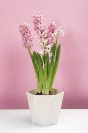 Photo of Beautiful spring hyacinth flowers on table against color background