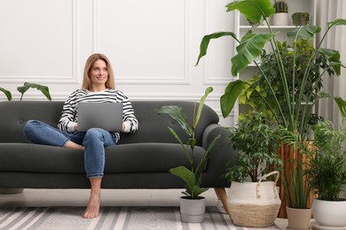 Woman working with laptop on sofa surrounded by beautiful potted houseplants at home