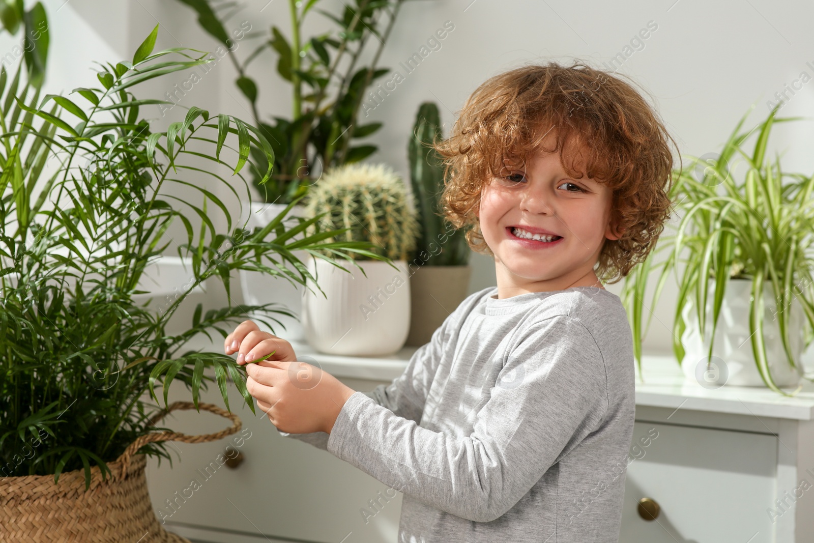 Photo of Cute little boy near beautiful green plants at home. House decor