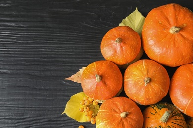 Orange pumpkins on dark background, flat lay composition with space for text. Autumn holidays