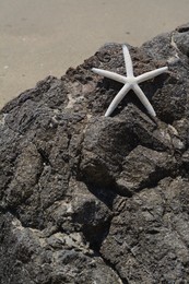 Beautiful starfish on black stone near sea, space for text