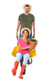 Photo of Couple of gardeners with wheelbarrow on white background