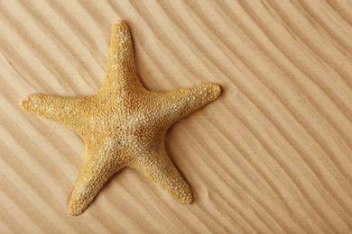 Photo of Starfish on beach sand, top view. Space for text