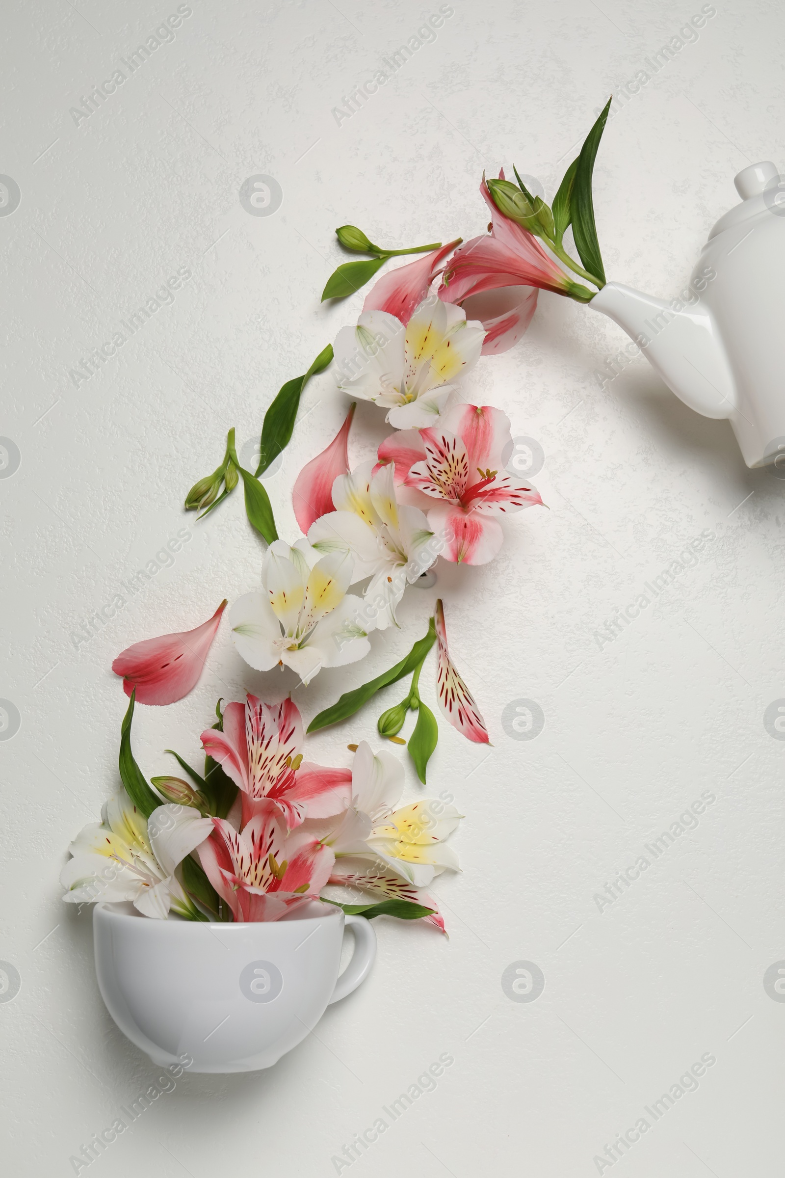 Photo of Composition with beautiful flowers, cup and teapot on light background, top view