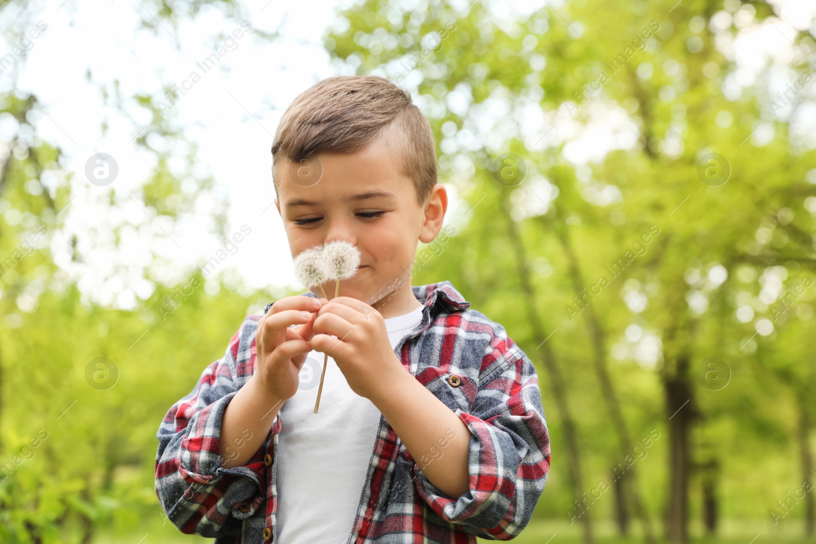 Photo of Healthy little boy blowing on dandelions outdoors, space for text. Allergy free concept