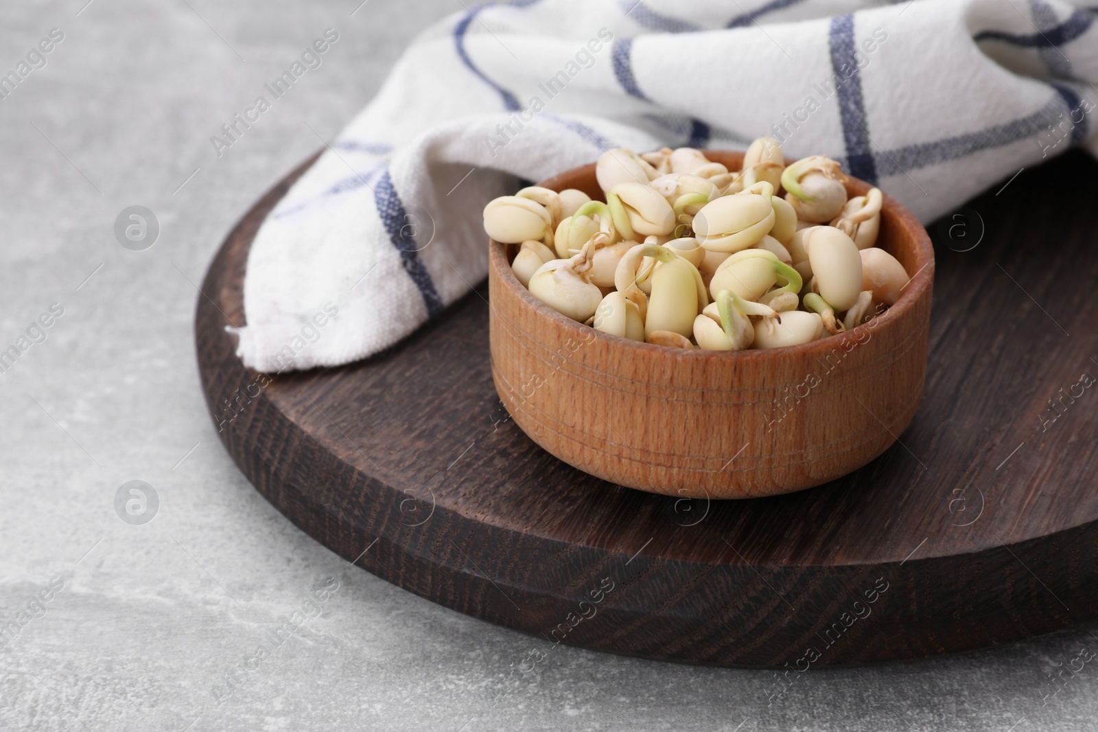 Photo of Sprouted kidney beans in bowl on light grey table, closeup. Space for text