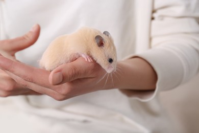 Photo of Woman holding cute little hamster, closeup view