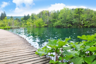 Photo of Picturesque view of beautiful river and wooden deck