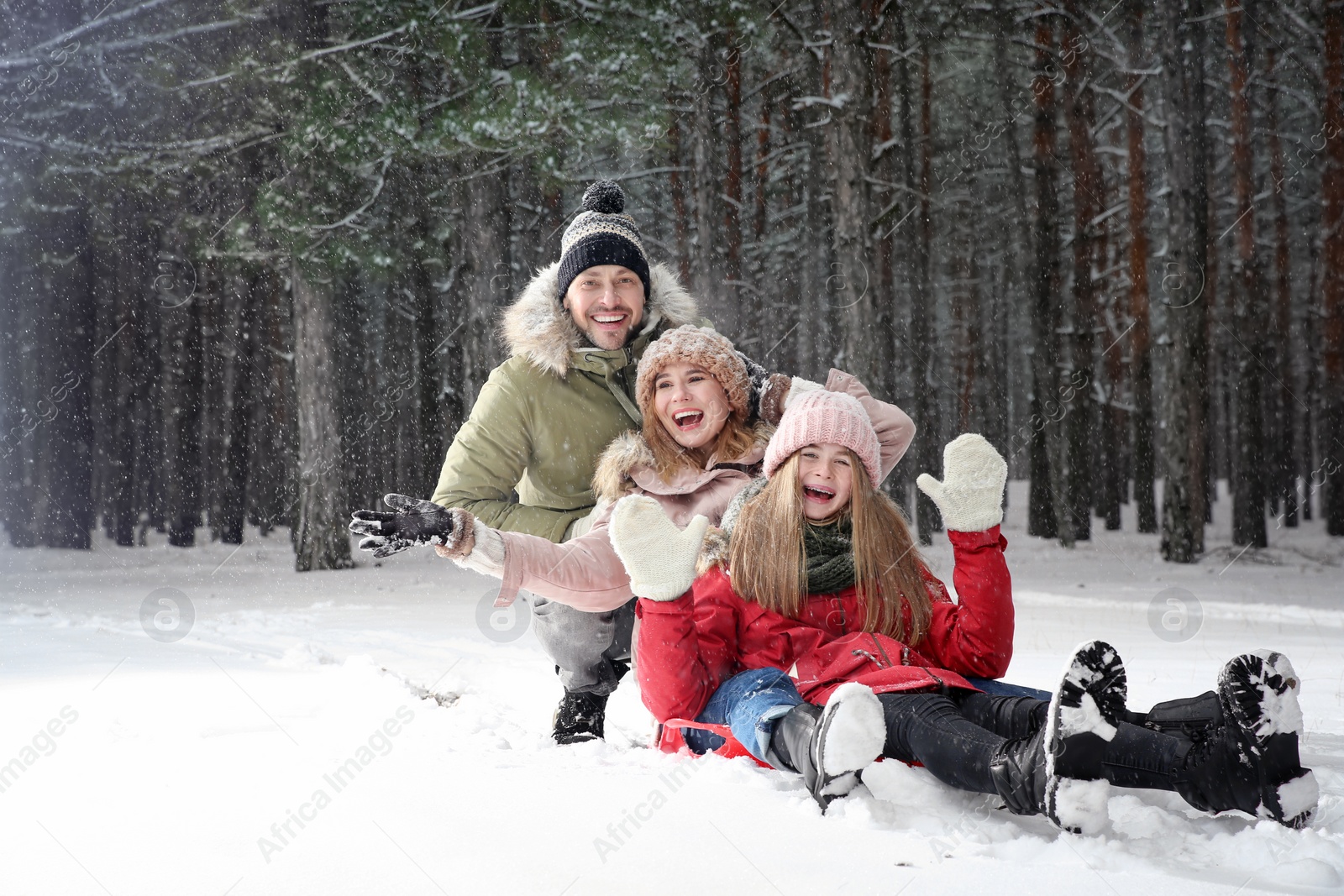 Photo of Happy family sledding in forest on snow day