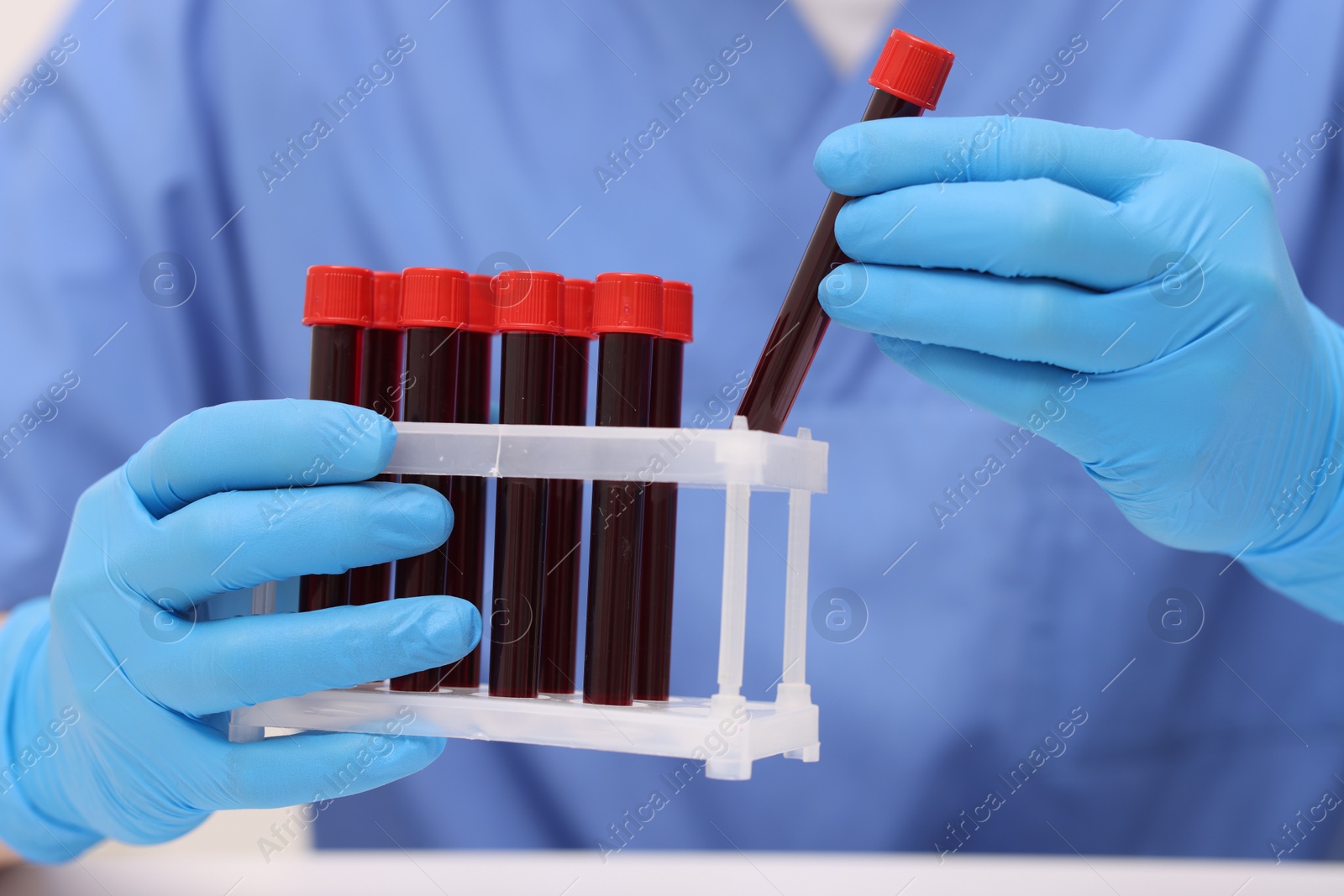 Photo of Doctor with samples of blood in test tubes at table, closeup