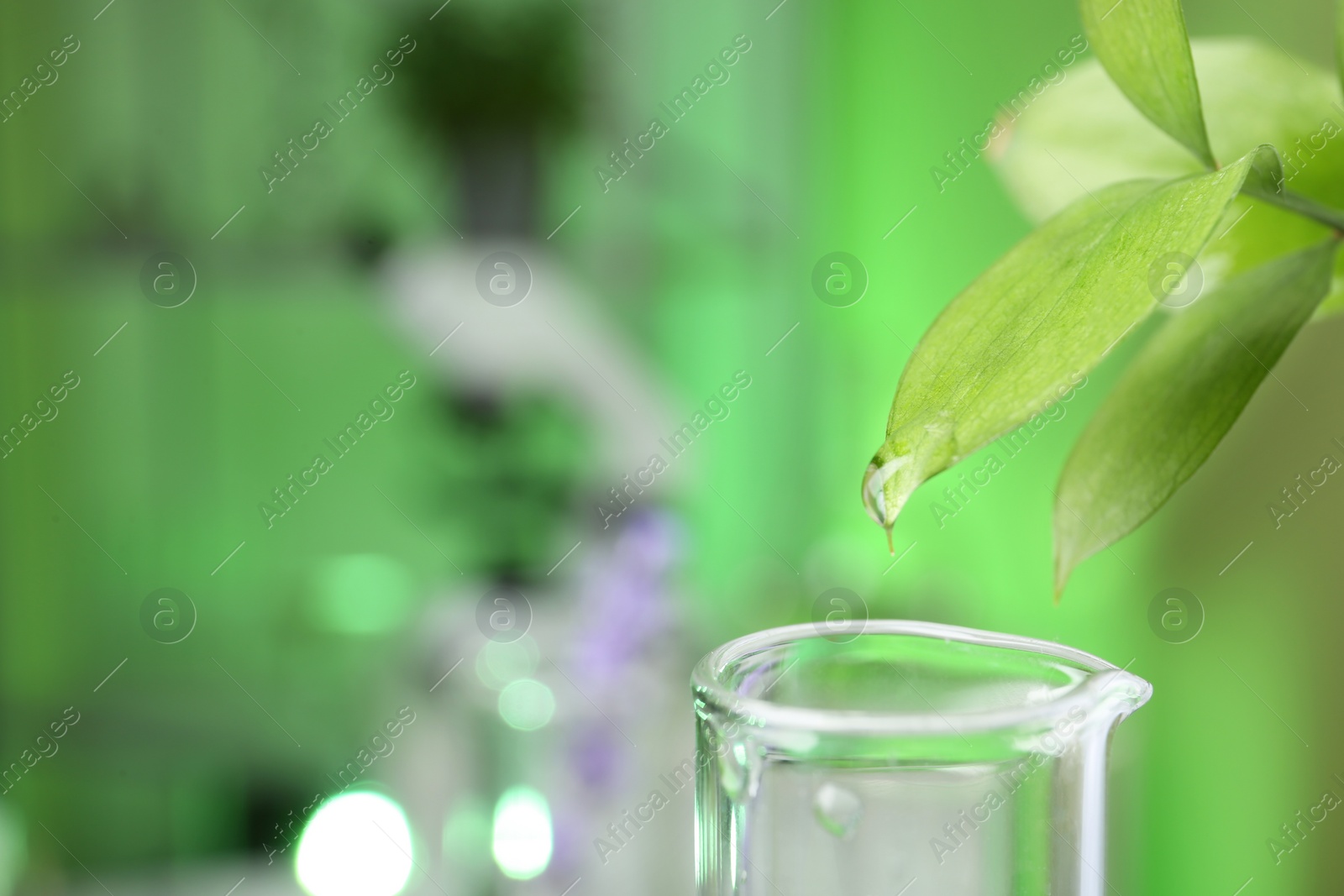 Photo of Leaf with liquid dripping into test tube at laboratory, closeup. Space for text