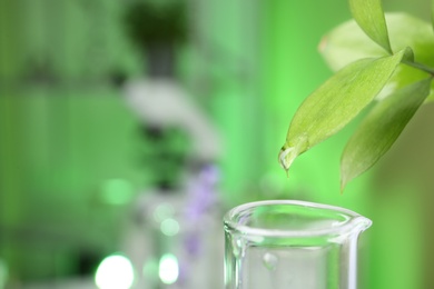 Photo of Leaf with liquid dripping into test tube at laboratory, closeup. Space for text