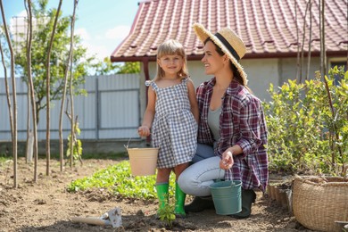 Mother and her cute daughter planting tree together in garden