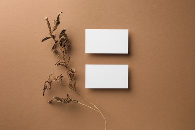 Photo of Empty business cards and dried plant on dark beige background, flat lay. Mockup for design