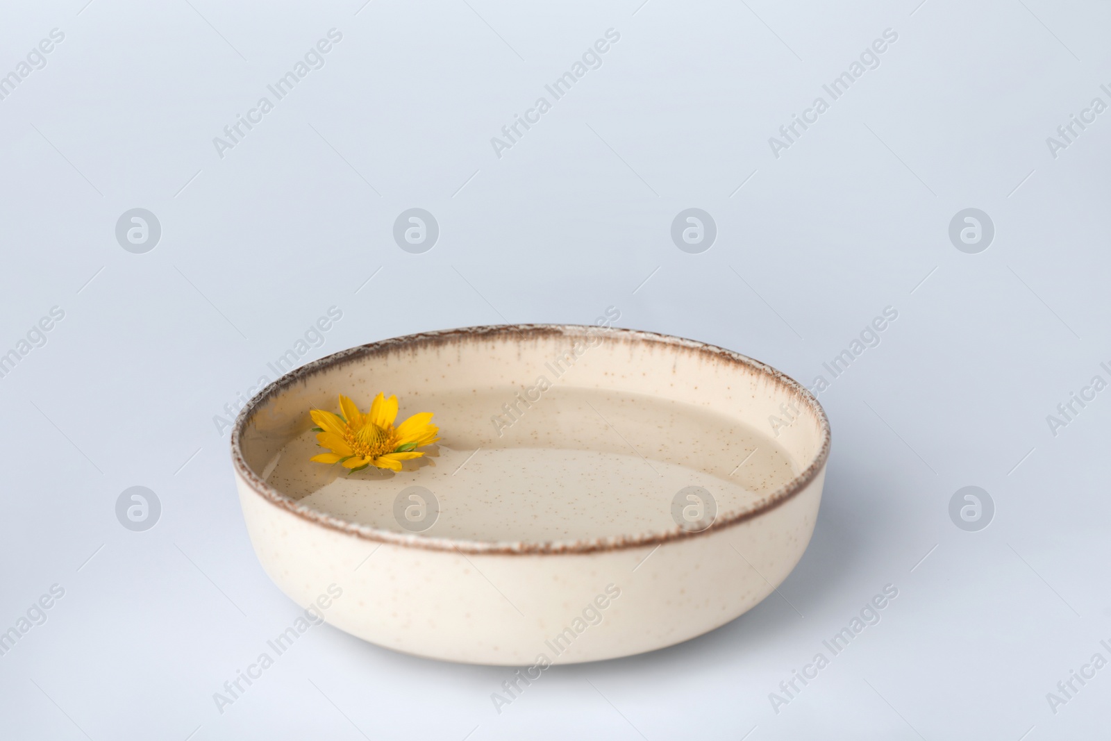 Photo of Water with flower in bowl on white background