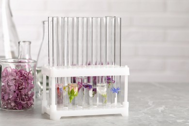 Photo of Test tubes with different flowers on light table, space for text. Essential oil extraction