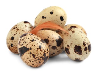 Photo of Quail eggs and feather on white background