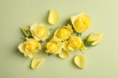 Photo of Beautiful yellow roses and petals on light olive background, flat lay