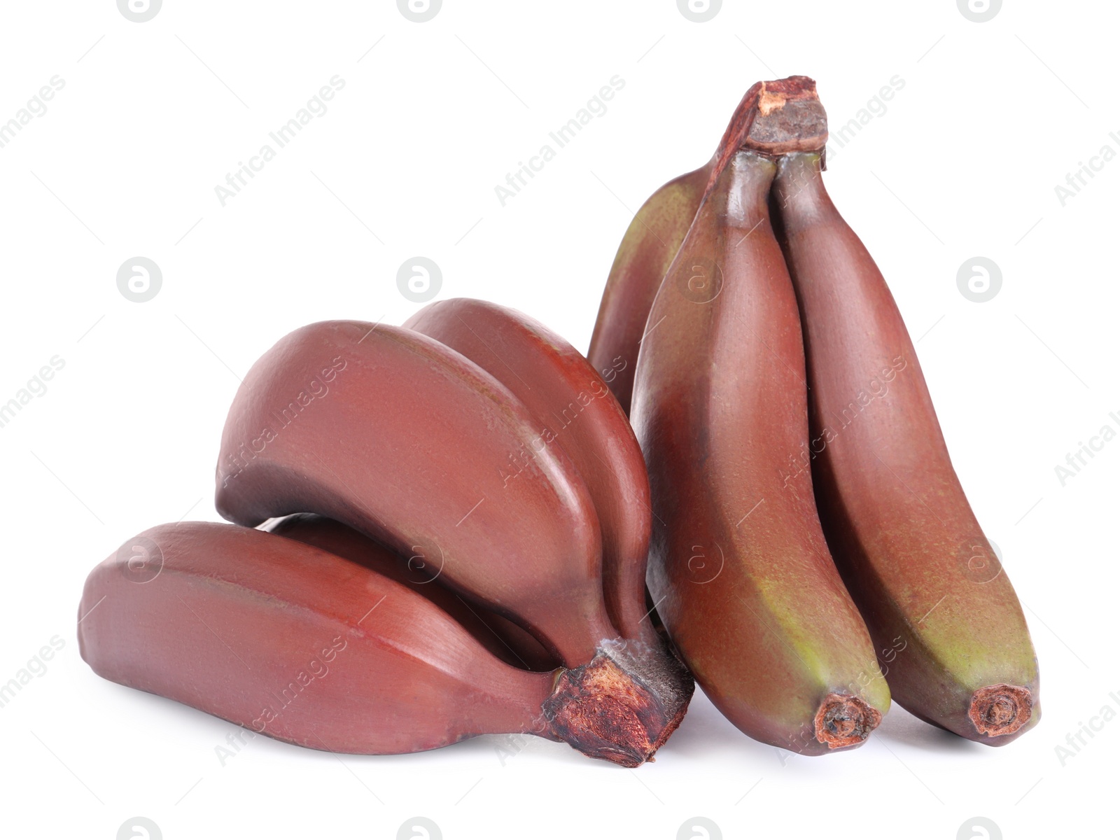 Photo of Delicious red baby bananas on white background