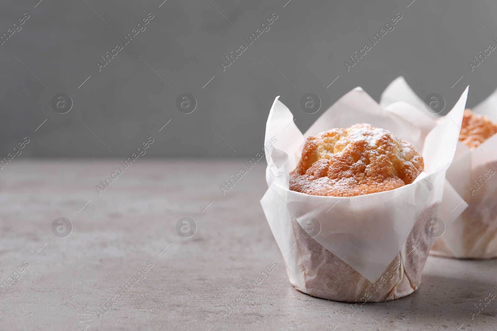 Photo of Delicious muffins with powdered sugar on grey table, closeup. Space for text