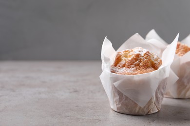 Delicious muffins with powdered sugar on grey table, closeup. Space for text