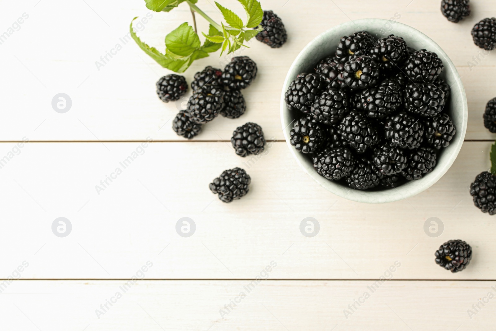 Photo of Bowl and fresh ripe blackberries on white wooden table, flat lay. Space for text