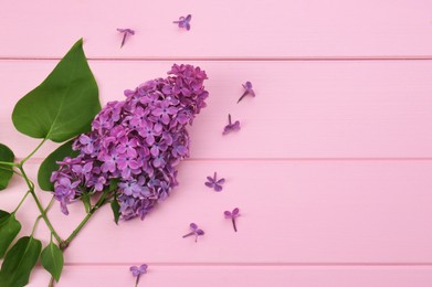 Photo of Branch of lilac with beautiful flowers on pink wooden background, top view. Space for text
