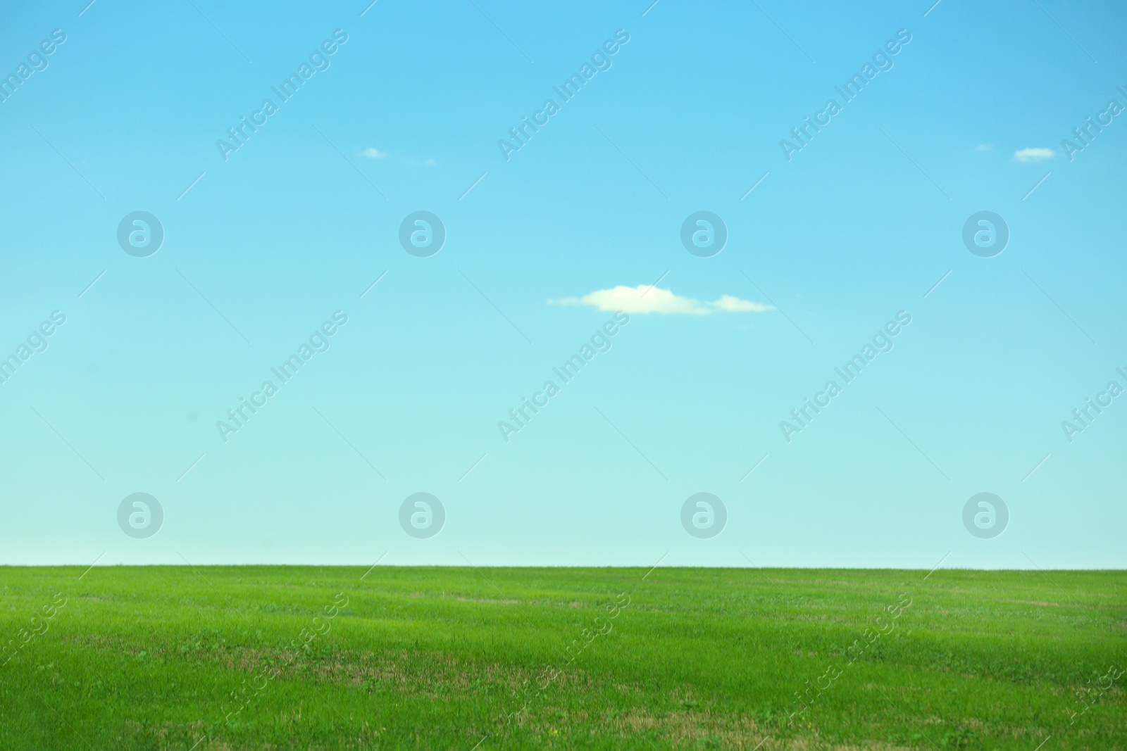 Photo of Beautiful landscape with green grass on sunny day