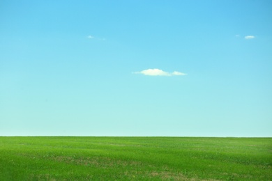 Photo of Beautiful landscape with green grass on sunny day