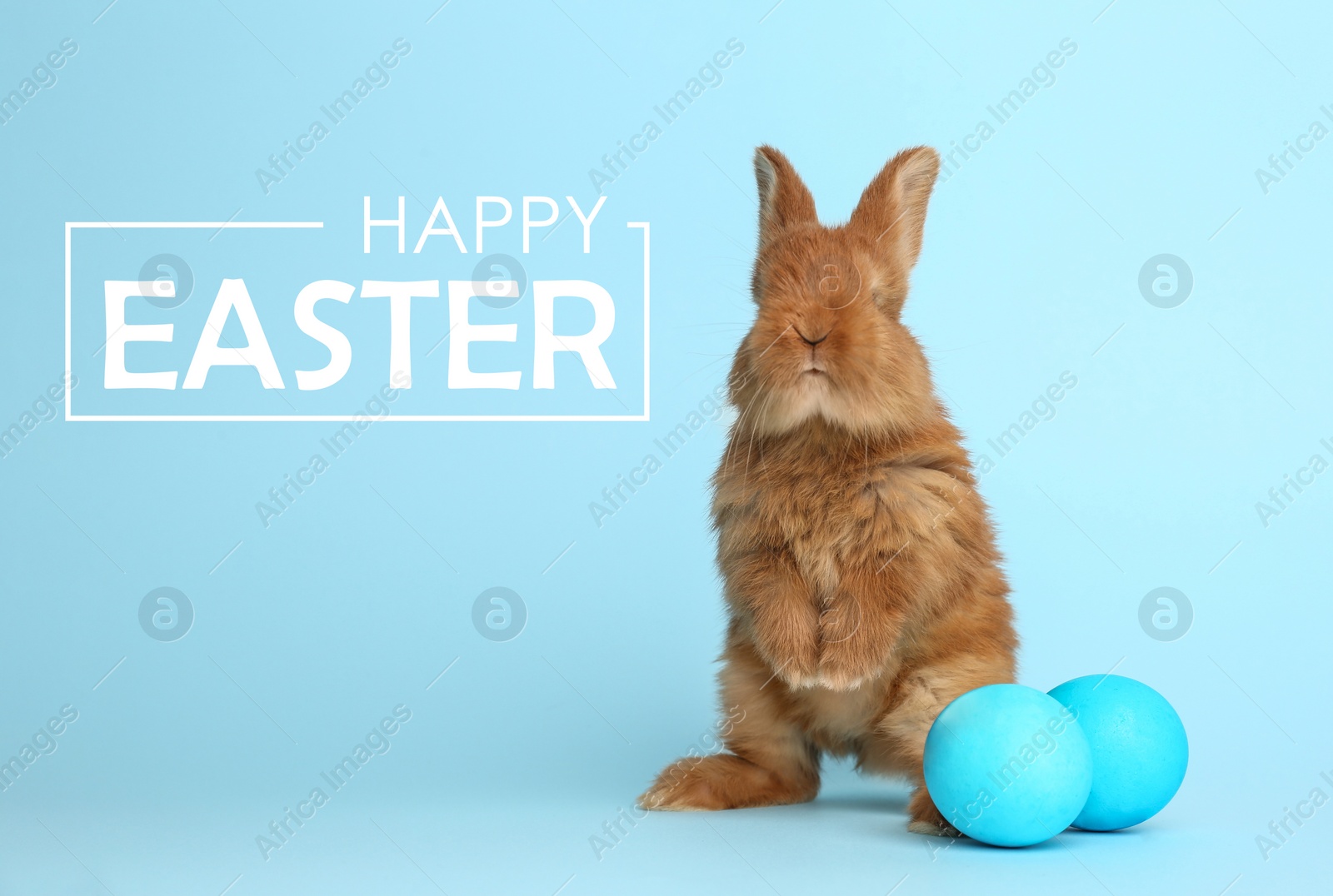 Image of Adorable fluffy bunny and Easter eggs on light blue background