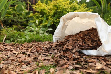 Photo of Soil mulched with bark chips in garden